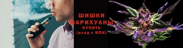 тгк Няндома
